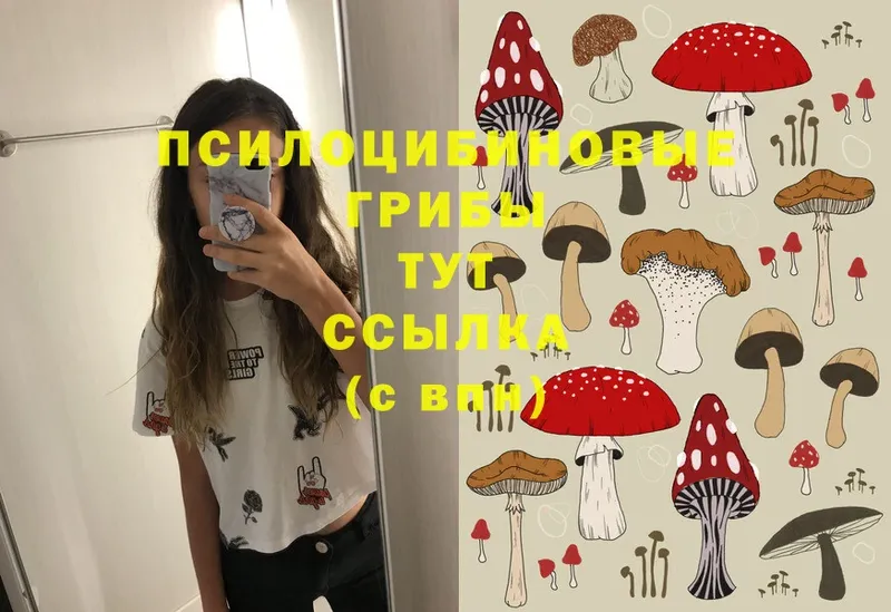 omg вход  Артёмовск  Псилоцибиновые грибы MAGIC MUSHROOMS 